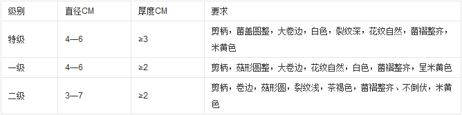 香菇特征 香菇特征