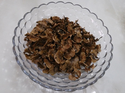 分心木 分心木